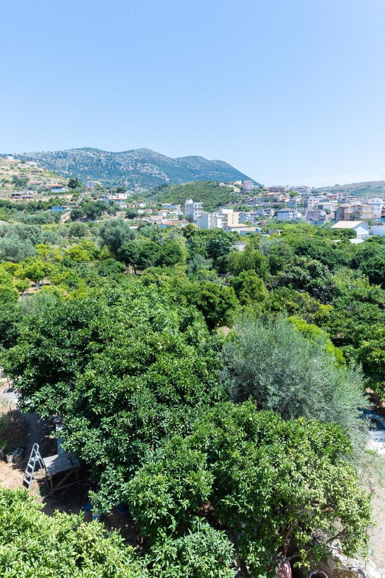 מלון הימארה De Sol מראה חיצוני תמונה
